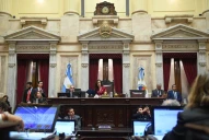 Por un voto: El Senado rechazó el proyecto de ley de Ficha Limpia