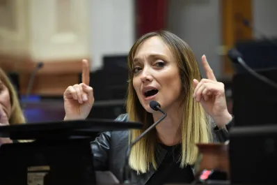 Fernández Sagasti habló de proscripción y calificó ficha limpia como un proyecto inconstitucional