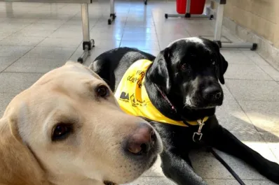 Hospitales argentinos incorporan mascotas para mejorar la recuperación de los pacientes