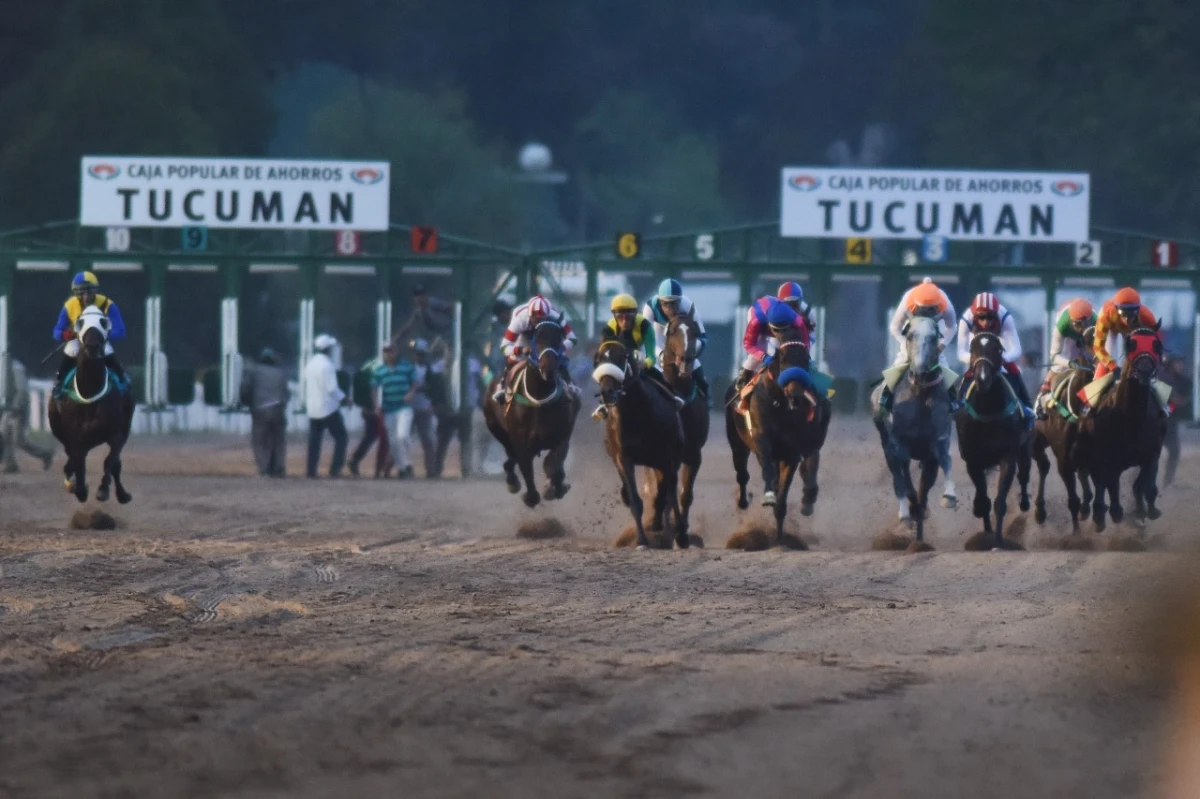 APASIONANTE. Si hay que elegir una buena postal del turf, la salida masiva de los caballos desde los partidores es ideal.