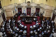 El oficialismo se quedó sin Ficha Limpia y acusó a la casta