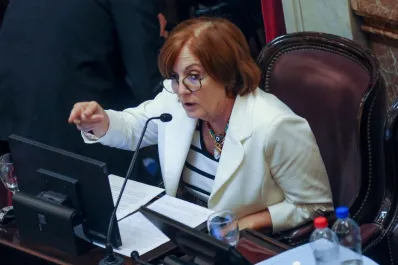 El gobierno de Milei terminó siendo funcional al kirchnerismo, denunció Alejandra Vigo
