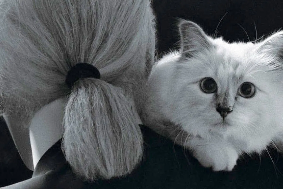 Choupette, la gata heredera de Karl Lagerfeld.