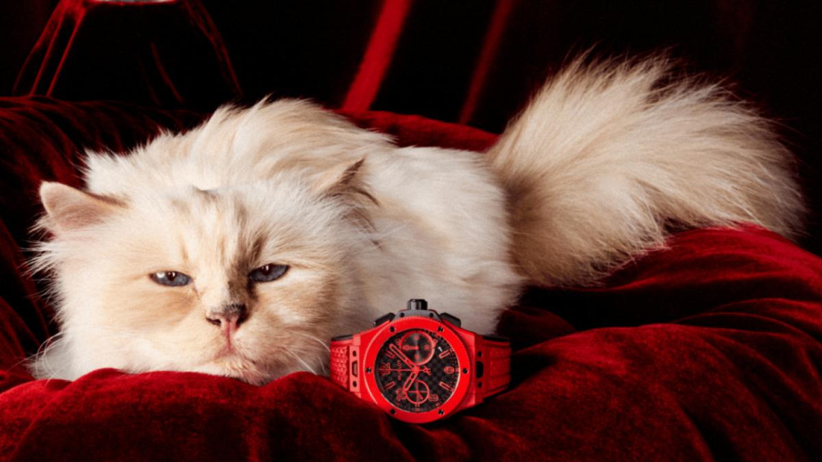Choupette para la campaña de relojes de Hublot.