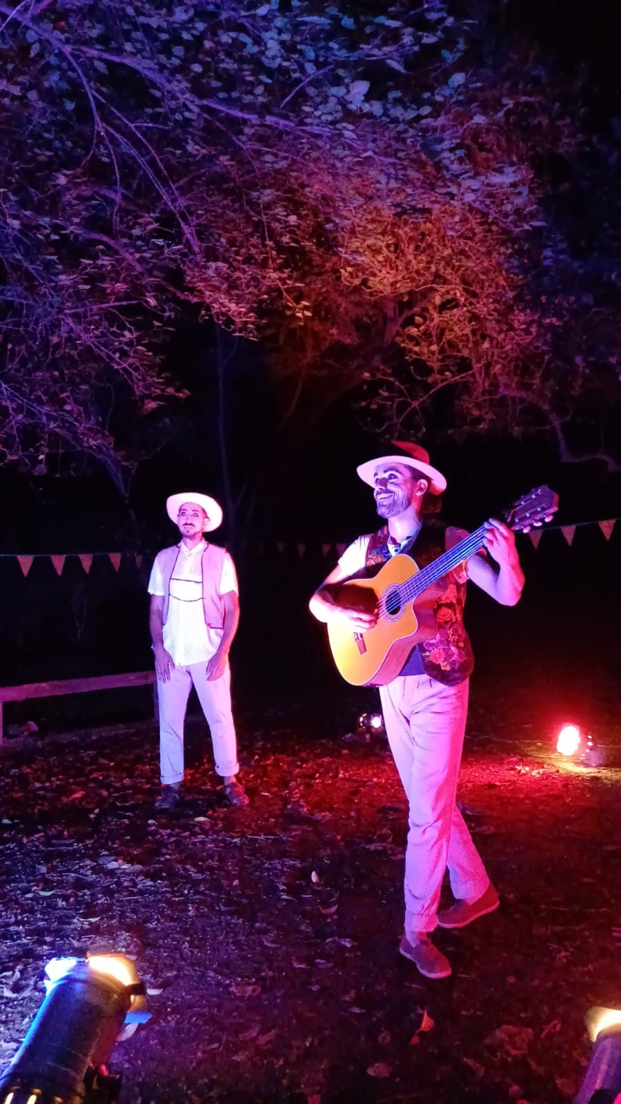 Espectáculos y cultura en Tucumán: guía para salir