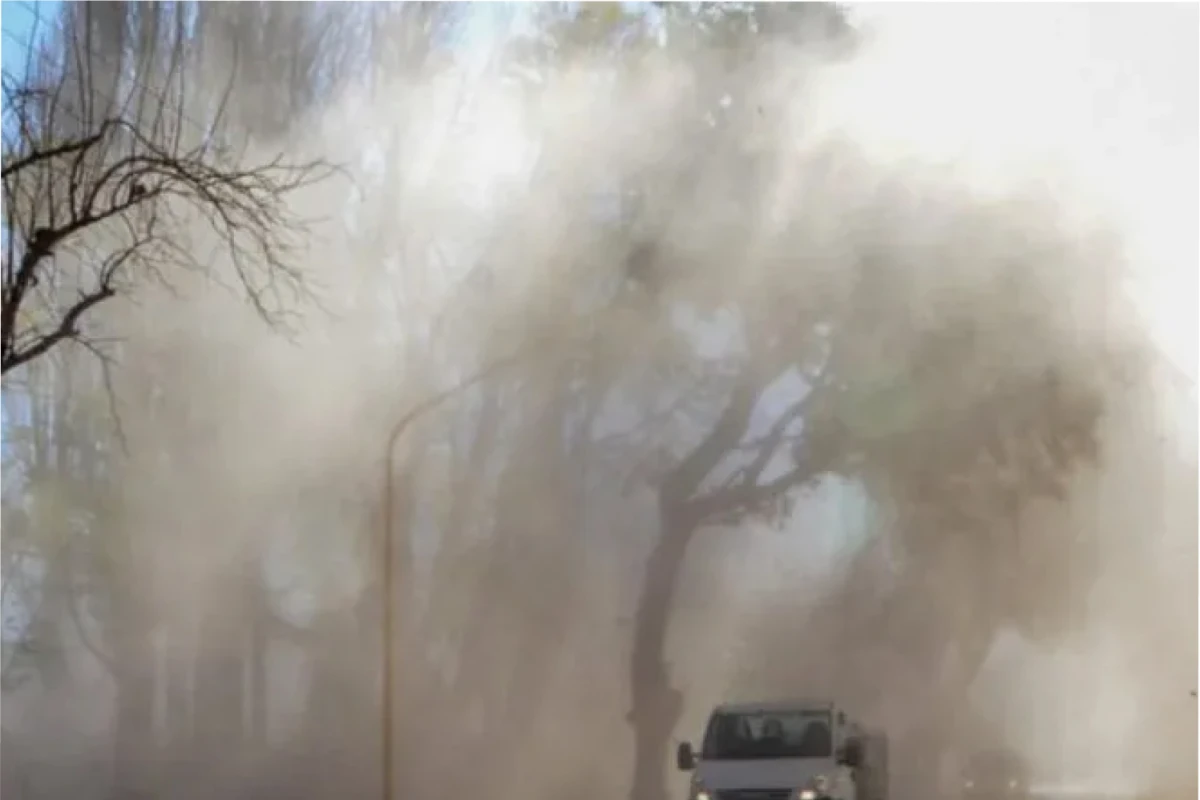 Alerta por fuertes lluvias y vientos ¿cómo actuar en esos casos?