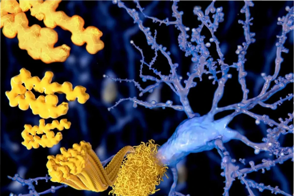 Los beneficios cerebrales pueden aparecer a los seis meses de comenzar una rutina de caminatas rápidas.