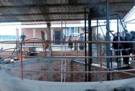 Pozo de Vargas: identifican a la víctima 121