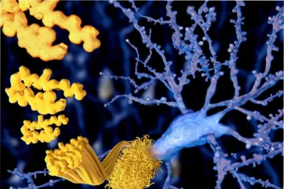 Cuál es el ejercicio simple que recomienda Harvard para reducir el riesgo de demencia y Alzheimer