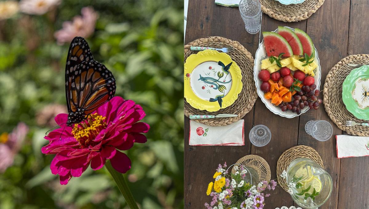 La vuelta de Lifestyle a la televisión
