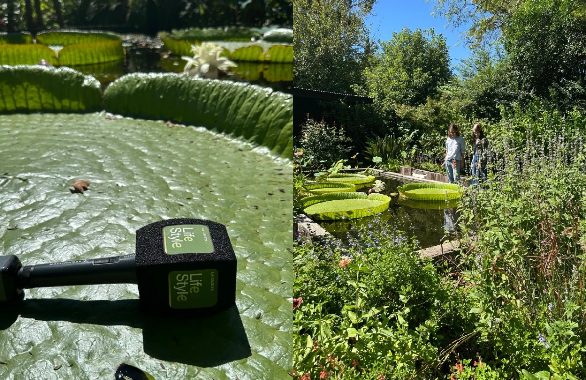 La vuelta de Lifestyle a la televisión