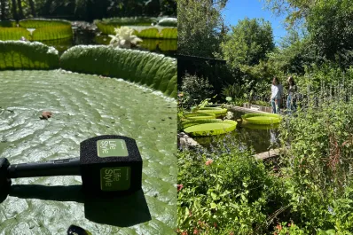 La vuelta de Lifestyle a la televisión