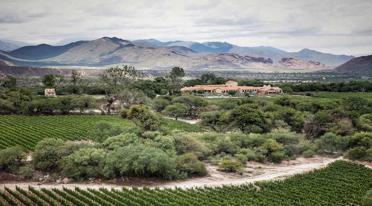 Escondida en el norte argentino: ¿dónde queda la bodega más antigua y singular de la Argentina?