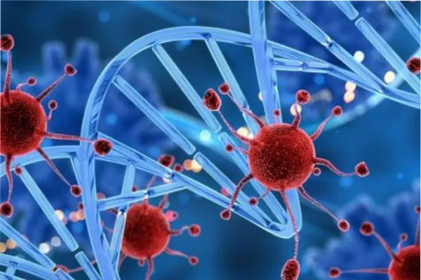 Resolvieron uno de los grandes misterios sobre el cáncer y podría ayudar a su prevención