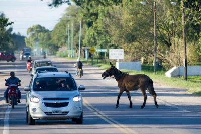 Cartas de lectores: La 306
