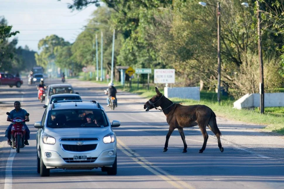 Cartas de lectores: La 306