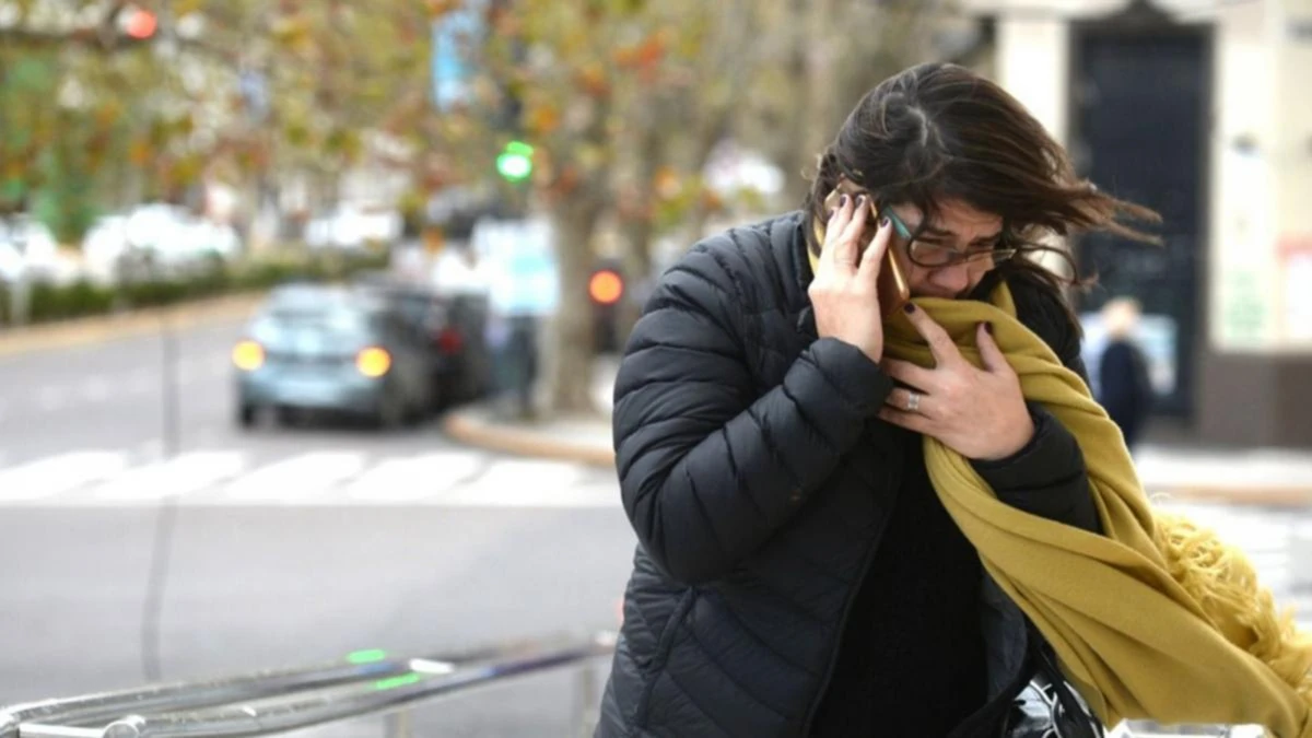 Rige una alerta por fuentes vientos y nevadas en una provincia de la Patagonica