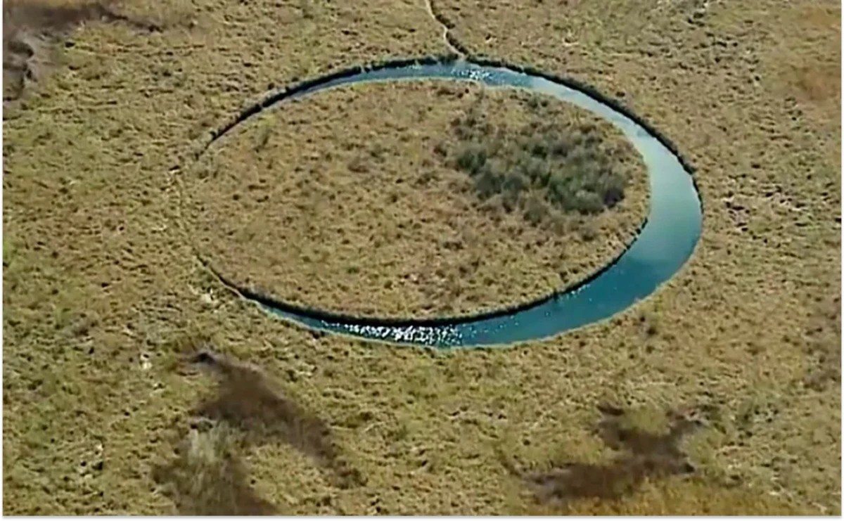 Descubrí la misteriosa isla que intriga al mundo: un círculo perfecto en medio del pantano