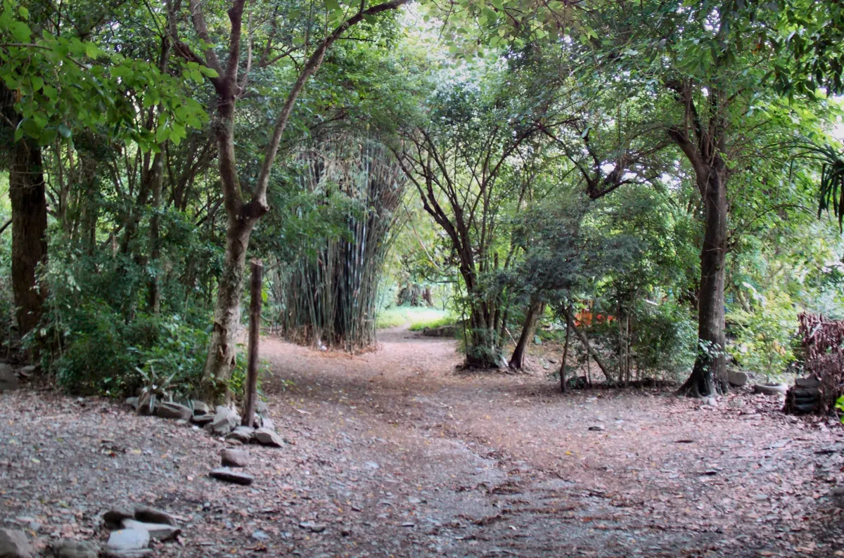 Preocupación por un grupo de estudiantes extraviados en el cerro San Javier: Mi sobrina tuvo dos ataques de pánico