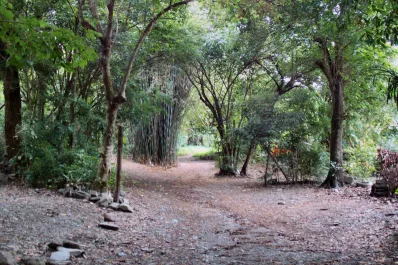 Preocupación por un grupo de estudiantes extraviados en el cerro San Javier: Mi sobrina tuvo dos ataques de pánico