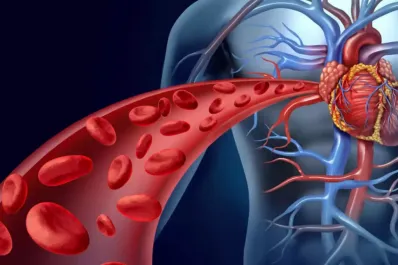 Una de cada tres personas tiene hipertensión y pocos se controlan