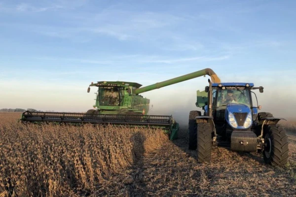 En el país, la soja de segunda consiguió remontar un “partido imposible”