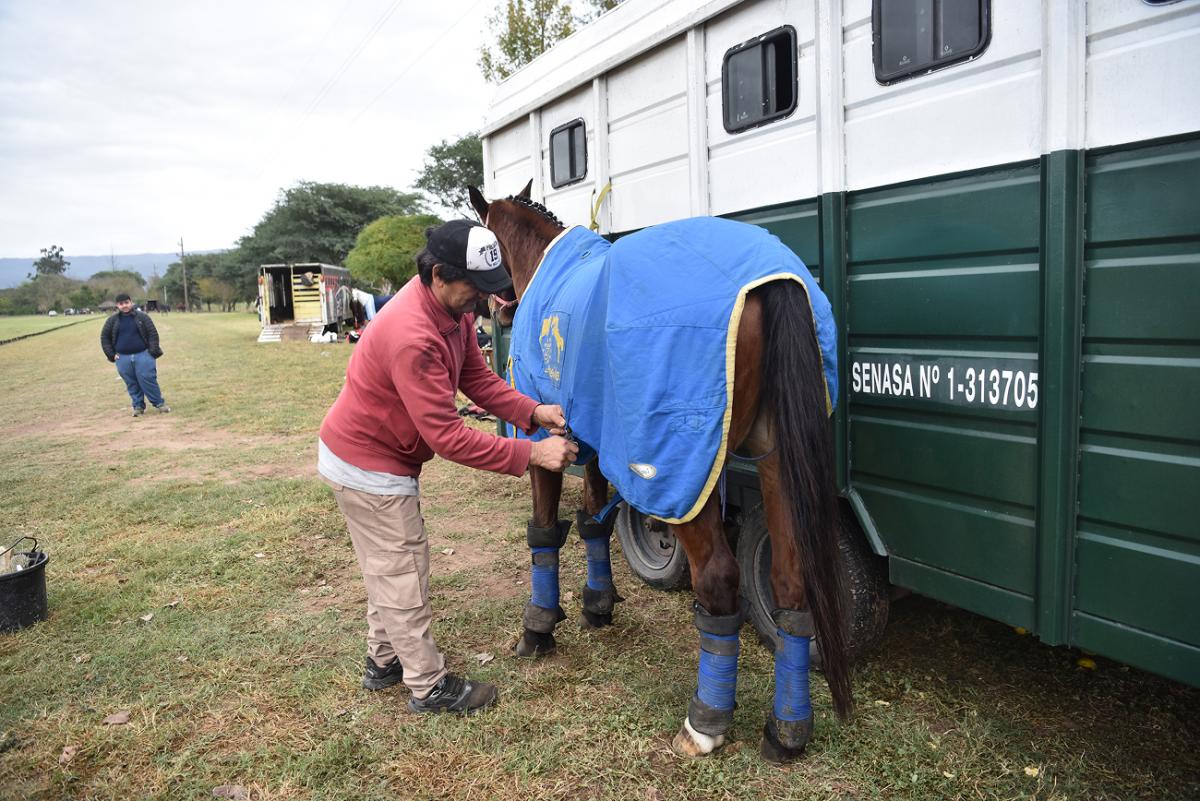 CON LA MANTA. Los caballos, antes de la competencia, utilizan una indumentaria de diferentes colores para ser identificado.