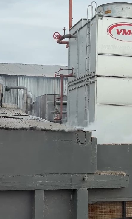 NUBLE BLANCA. Vecinos lograron captar con sus cámaras la pérdida.