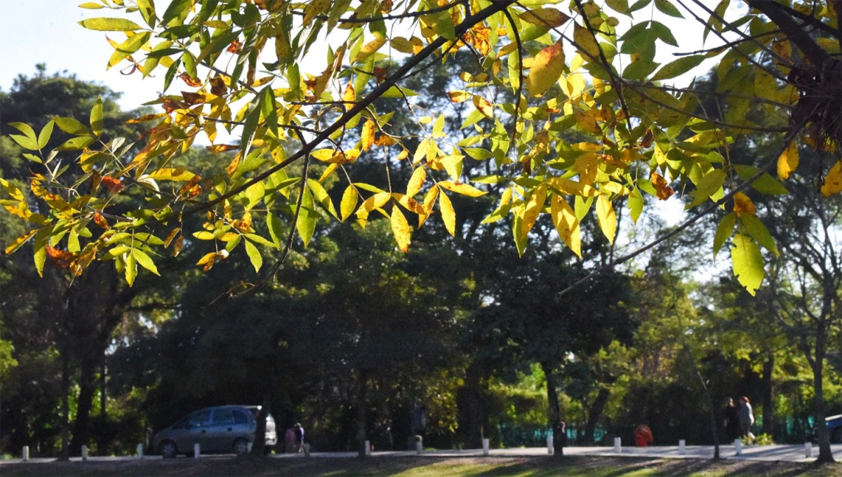 OTOÑAL. Poco a poco la temperatura comenzará a descender en Tucumán. 