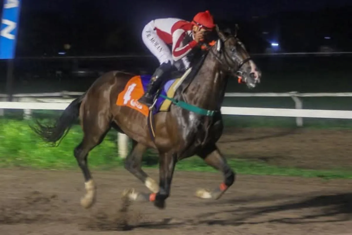 PROTAGONISTA. El Alberto viene de ganar en gran forma y correrá el clásico 25 de Mayo.