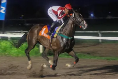 Dos clásicos de gran nivel tendrá el mitin turfístico del domingo