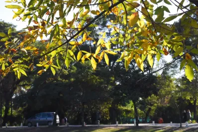 El tiempo en Tucumán: el cielo se mantendrá cubierto y la temperatura bajará unos grados