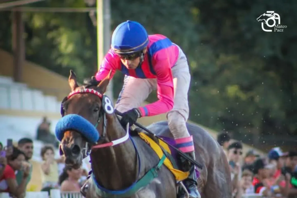 CANDIDATO. Smiling Nich será conducido por el jockey Matías Rodríguez en el cotejo de 1.100 metros.