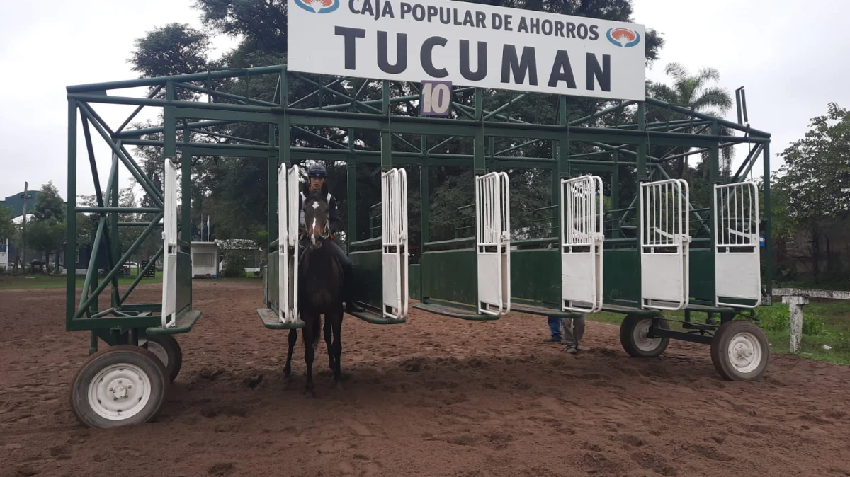 TODO LISTO. Francisco Polito Brito montará a Cupcake en la competencia de 1.800 metros.