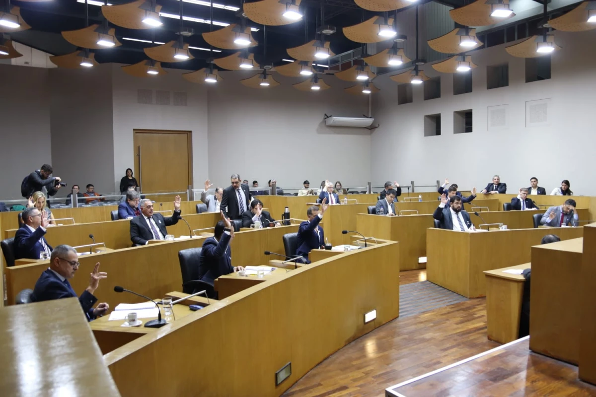 El Concejo insiste con una ordenanza que regula la actividad de los patovicas