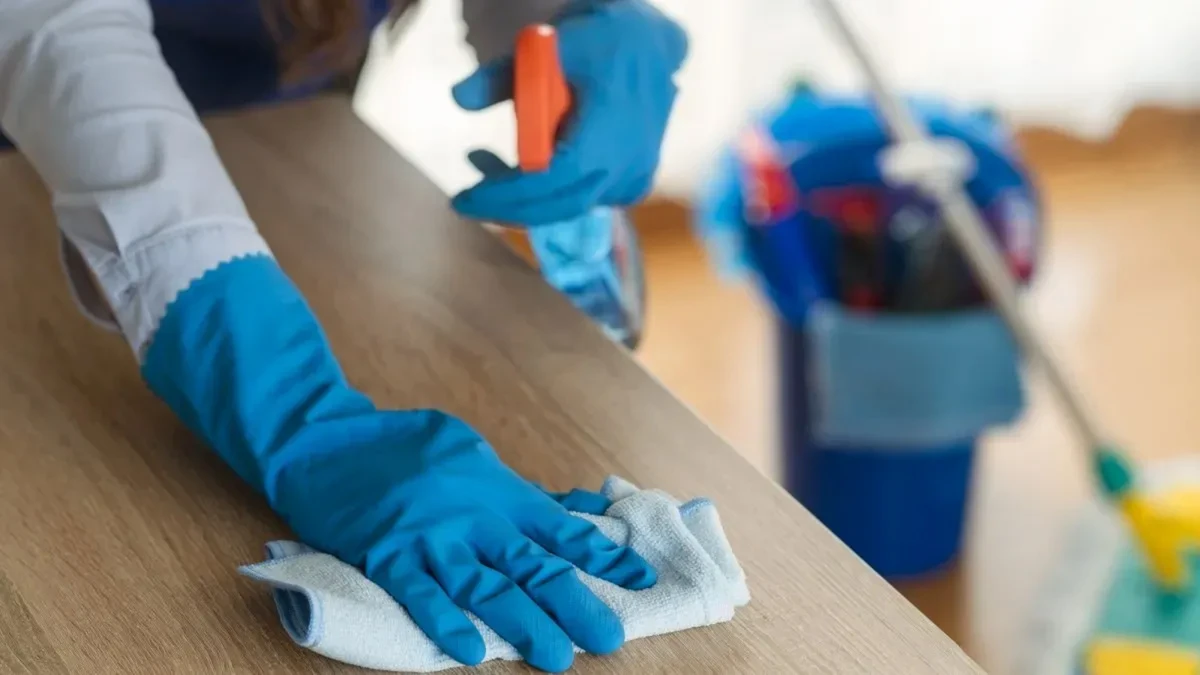 Las empleadas domésticas no tendrán aumento en junio 2025