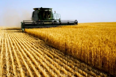 Las decisiones sobre derechos de exportación podrían impactar fuerte en la rentabilidad del trigo