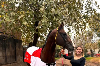 Sobran los candidatos en una jornada turfística de gran nivel en el hipódromo tucumano