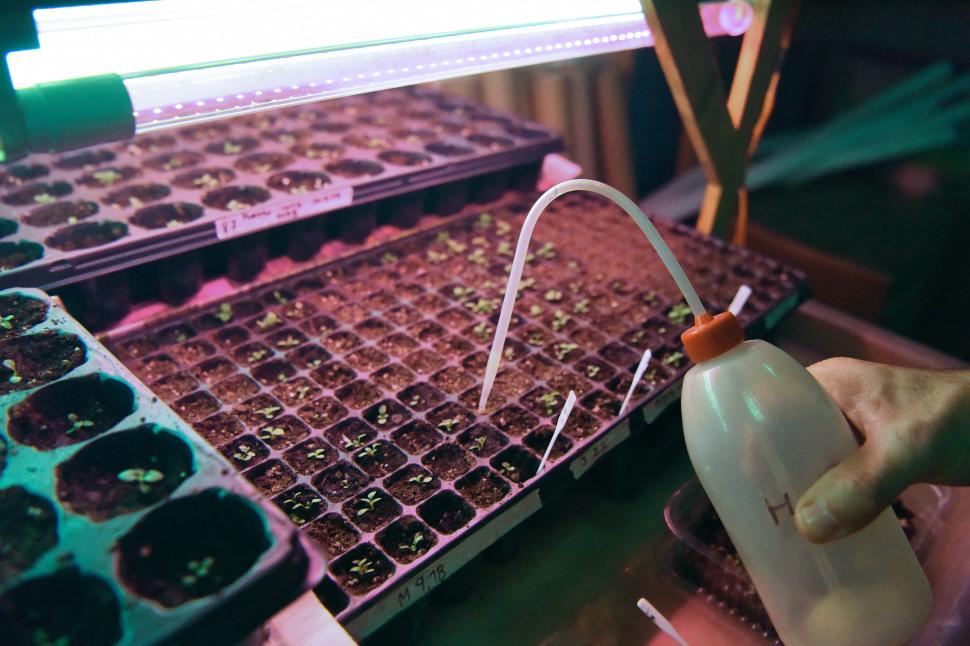 CON EXTREMO CUIDADO. Cada brote debe ser atendido y analizado.