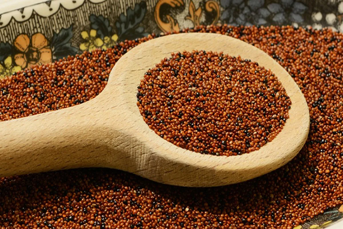 La kañiwa, el cereal de los miles de beneficios.