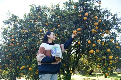 Entendimos que primero había que nutrir la tierra: una finca tucumana apuesta por comida sin veneno y bolsas sin plástico