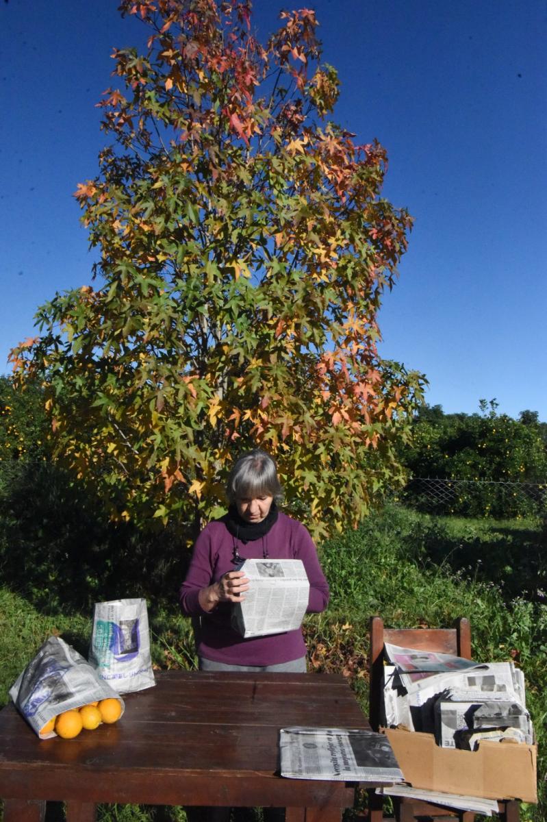 LA GACETA PRESENTE. Con papel del diario y cinta, Alicia prepara las bolsitas en las que luego entregan sus cultivos. LA GACETA/ Foto de Analía Jaramillo.