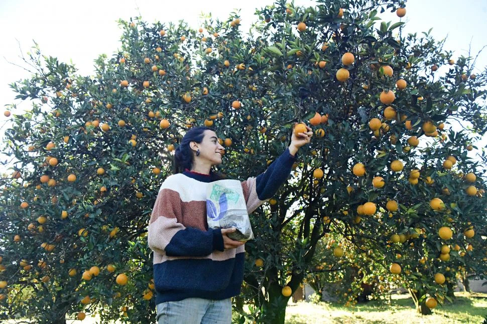FRESCAS. Las frutas y verduras salen recién cosechadas directo a la mesa de los comensales. la gacdeta / fotos de analía jaramillo