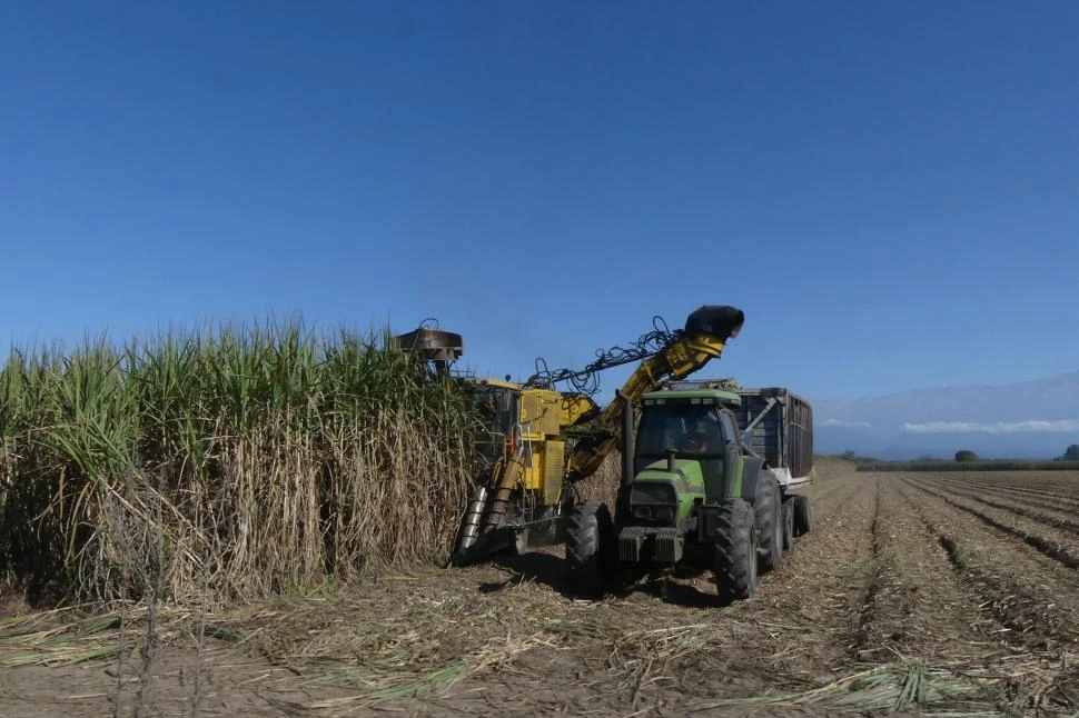 ESTRATEGIA. Los acusados fingían ser titulares de empresas fantasmas dedicadas a actividades agrícolas. la gaceta / foto de osvaldo ripoll