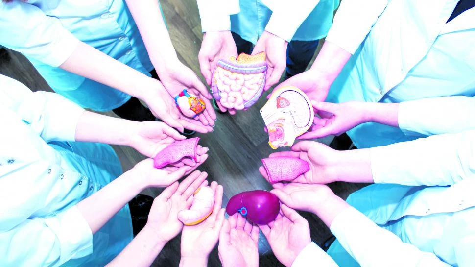 Donar órganos: una segunda oportunidad