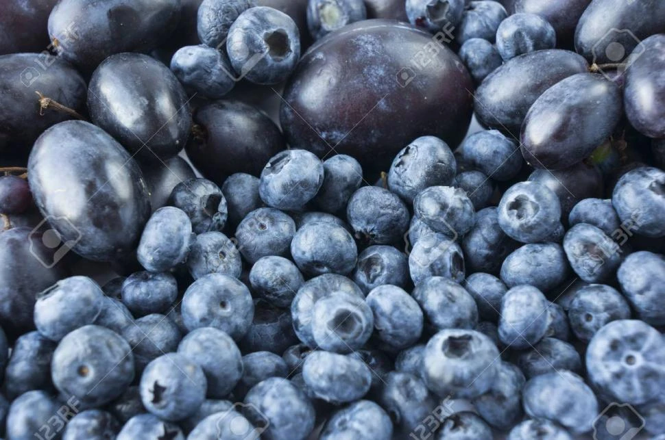 Mejores condiciones para el ingreso de frutas frescas a Brasil