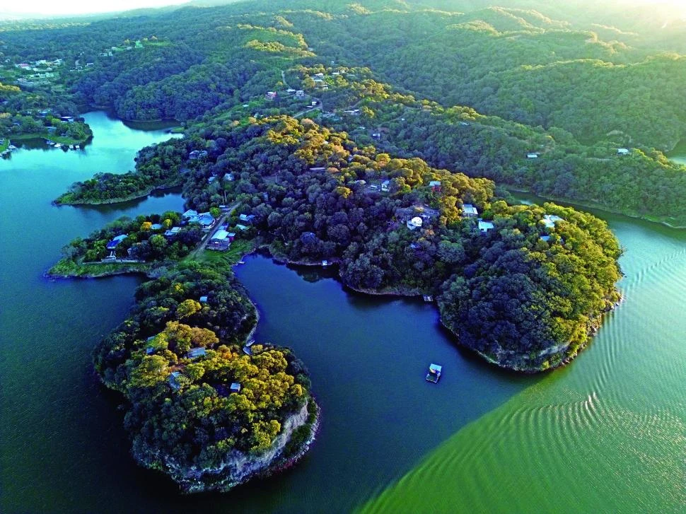 La foto de la semana