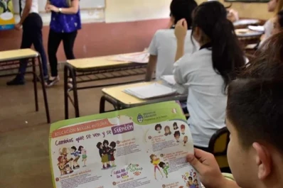 “Tucumán desmanteló sus equipos de ESI”, dicen en la Cámara