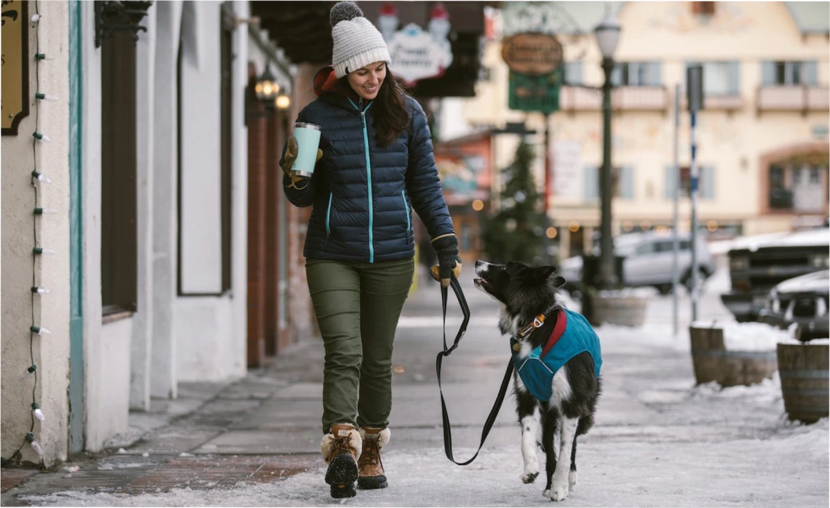 ¿Cuándo es conveniente sacar a pasear un perro en invierno?