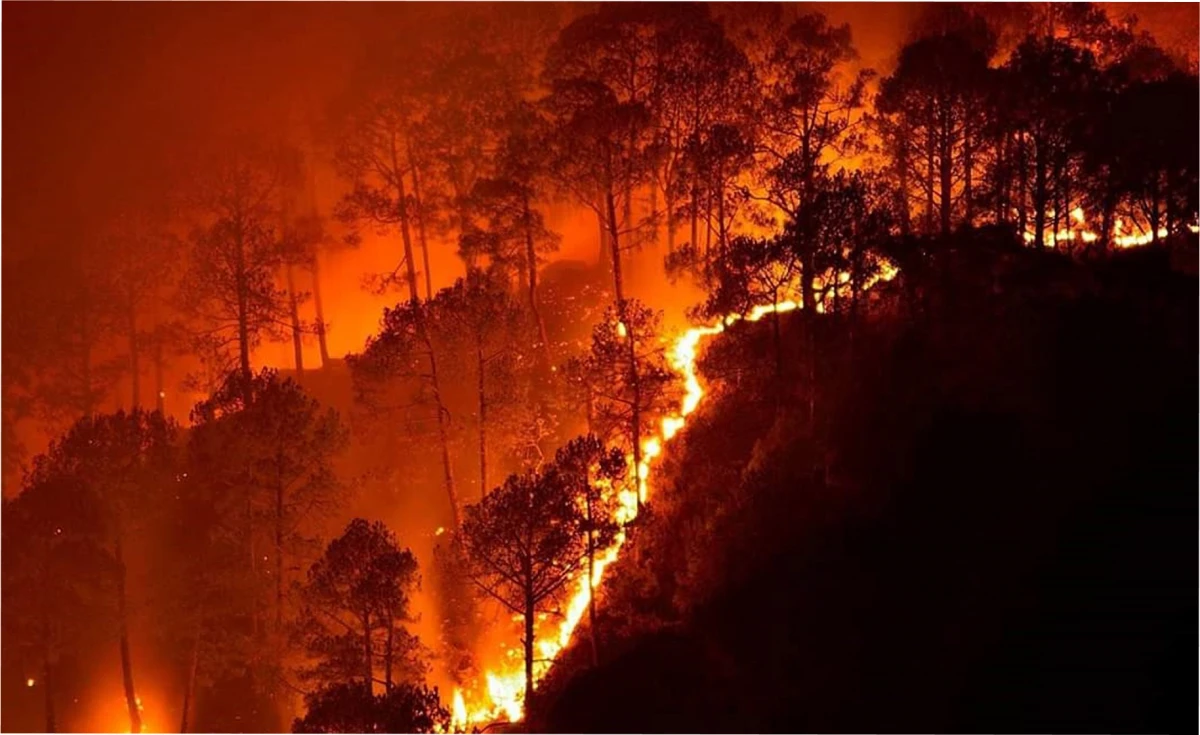 Incendios en Nuevo Gales del Sur, uno de los más catastróficos de la historia.